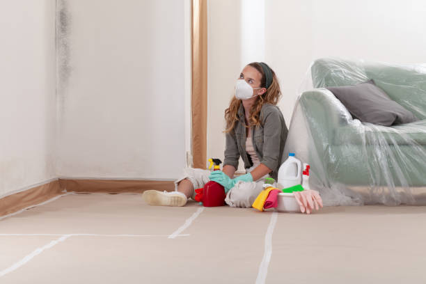 Reliable Crawl Space Mold Removal contractor in Johnstown, CO by WQB Mold Removal