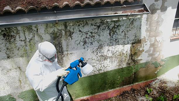 Top rated local Crawl Space Mold Removal specialists in Johnstown, CO